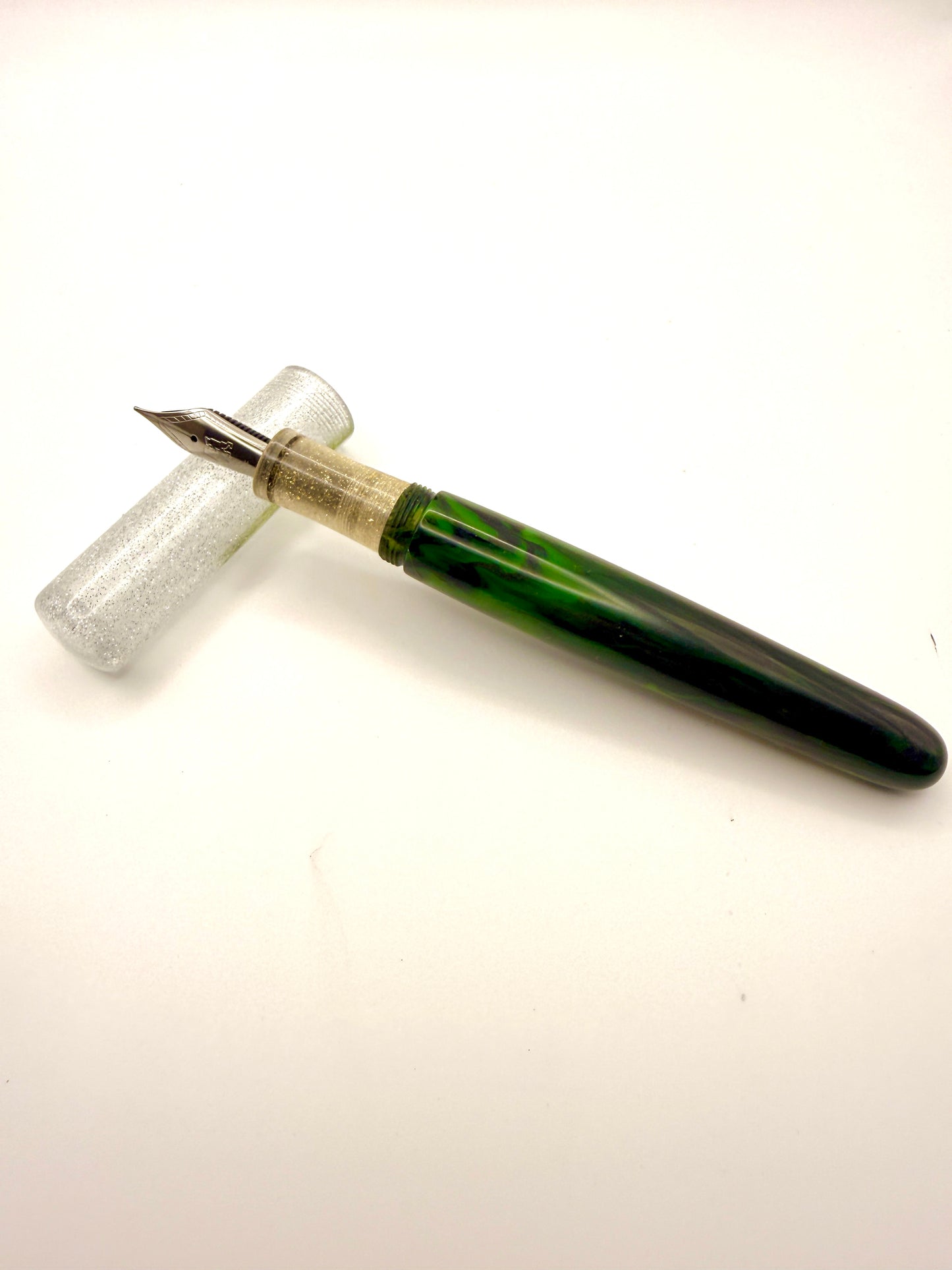 Hidden Treasure Resin Fountain Pen